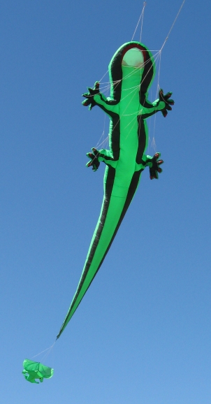 rkc-gecko